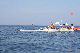 IMG_05241280h