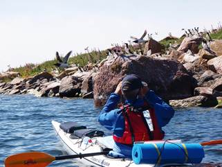 Beskrivning: C:\Users\mats\Documents\Mina bilder granskning\FA\Norra Åland 2011\Bilder\P7140211sk.jpg