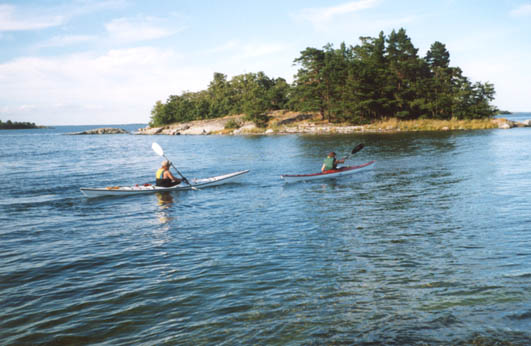 idskar.jpg (48165 bytes)