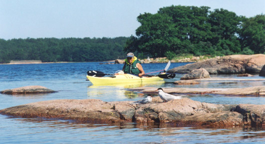 Aland13.jpg (66150 bytes)