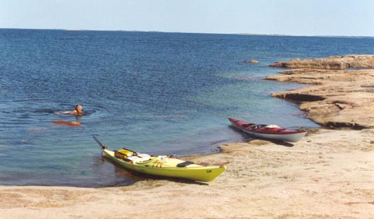 Aland21.jpg (38417 bytes)