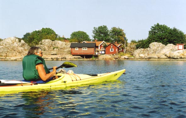 Bull1.jpg (59187 bytes)