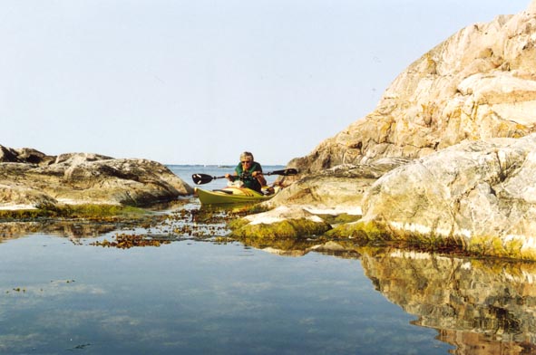 Bull2.jpg (52679 bytes)