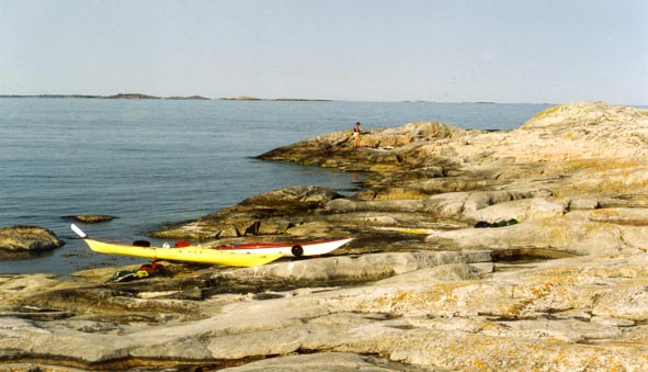 Bull3.jpg (53098 bytes)