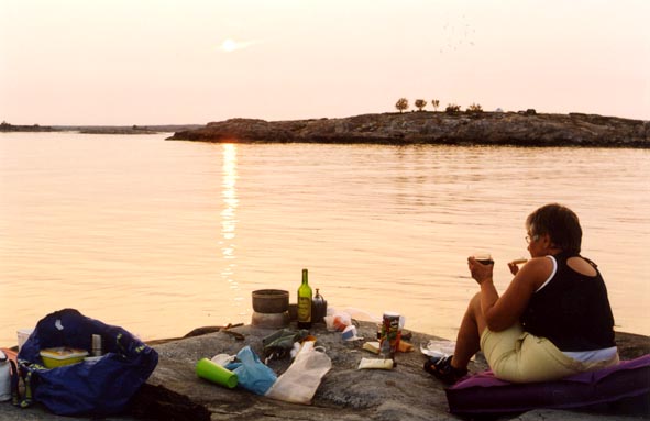 Bull4.jpg (38089 bytes)