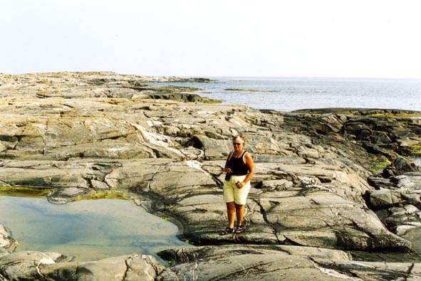 Bull54.jpg (69443 bytes)