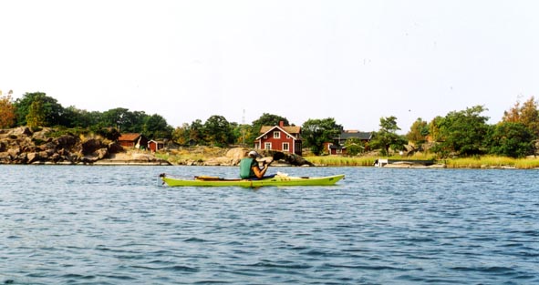 Bull7.jpg (45694 bytes)