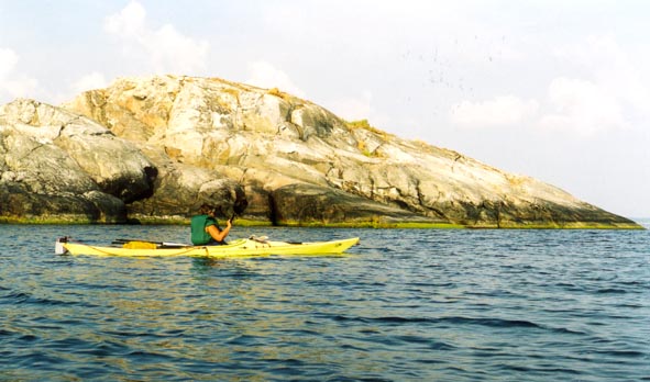 Bull9.jpg (54810 bytes)