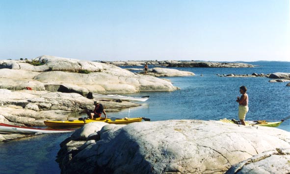 Graso2.jpg (50544 bytes)