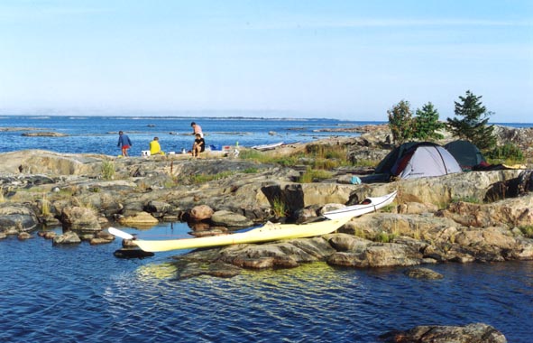 Graso6.jpg (62419 bytes)