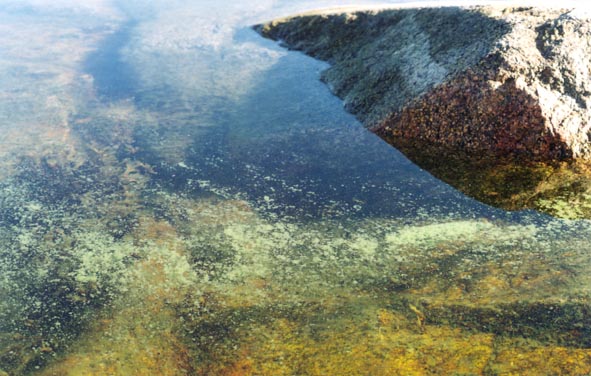 Lagno1.jpg (70932 bytes)