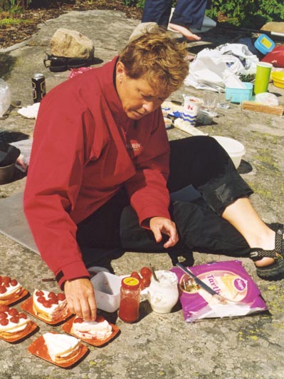 midsommar1.jpg (63823 bytes)