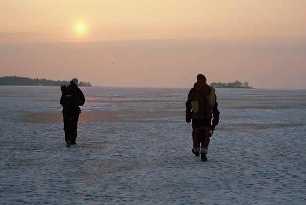 D19.jpg (56931 bytes)