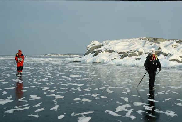 D20.jpg (70844 bytes)