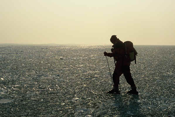 D21.jpg (90948 bytes)