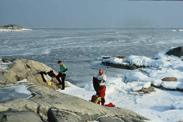 D22.jpg (88188 bytes)