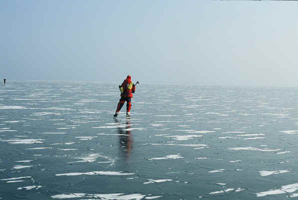 D23.jpg (57897 bytes)