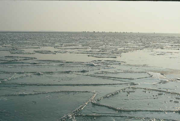 D24.jpg (72633 bytes)