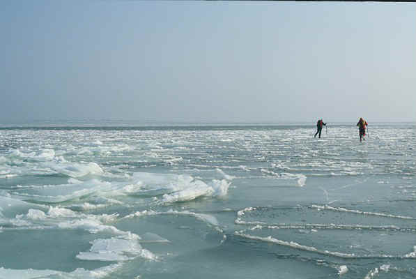 D25.jpg (61814 bytes)