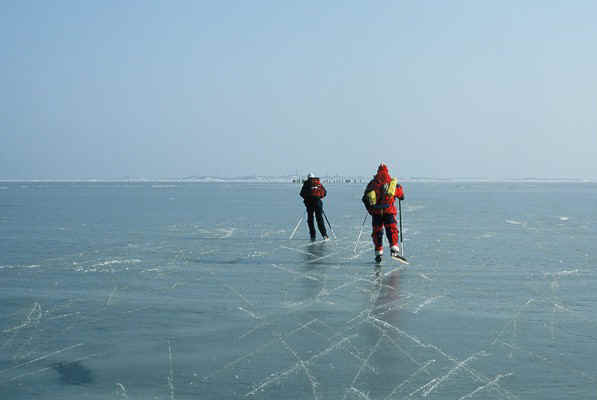 D26.jpg (46816 bytes)