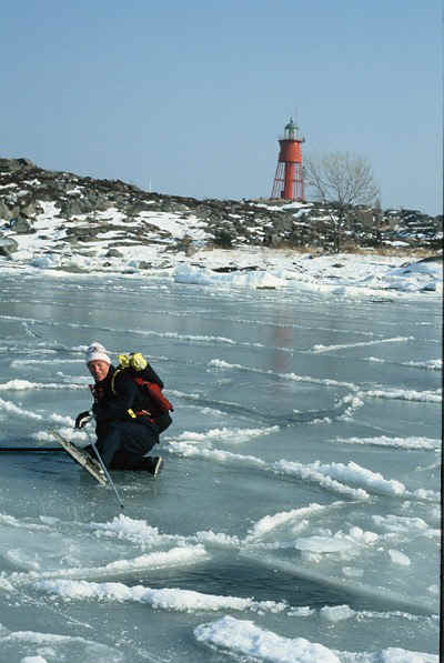 D29.jpg (85106 bytes)