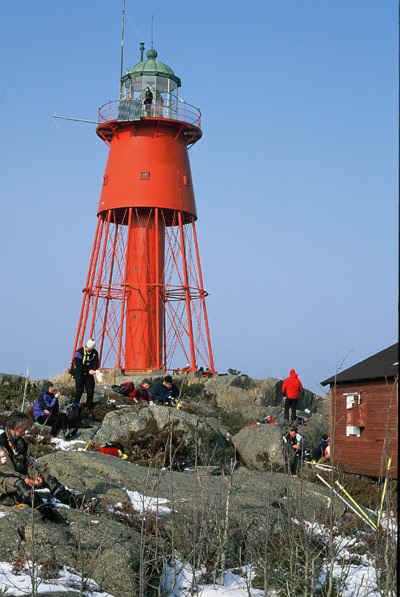 D31.jpg (85726 bytes)