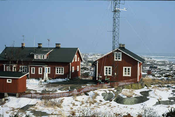 D32.jpg (91418 bytes)