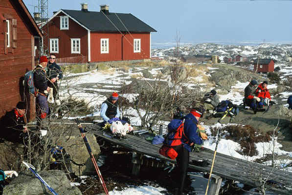 D33.jpg (123911 bytes)