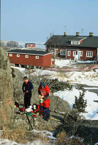 D34.jpg (107132 bytes)