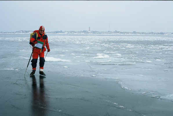 D35.jpg (57549 bytes)