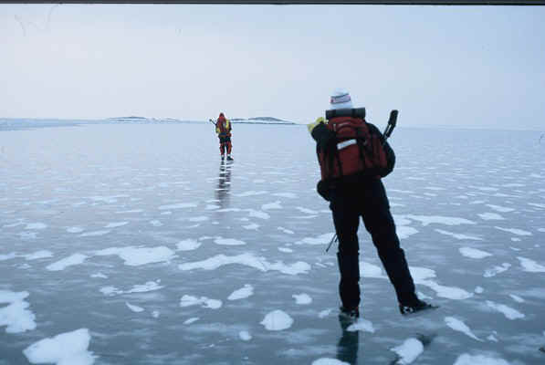 D37.jpg (52423 bytes)