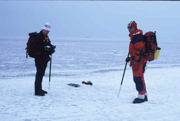 D38.jpg (61619 bytes)