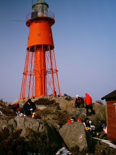 Hog10.jpg (69232 bytes)